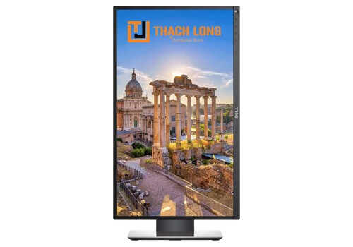 Dell 23" Professional P2319H